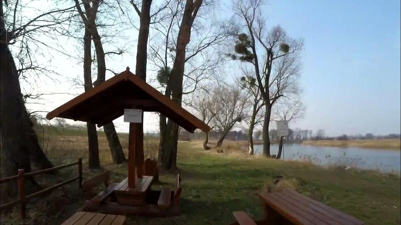 Wiosenny lot FPV nad Wartą, nagrany w jednym ujęciu.
